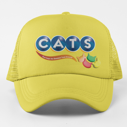 Cats Hat