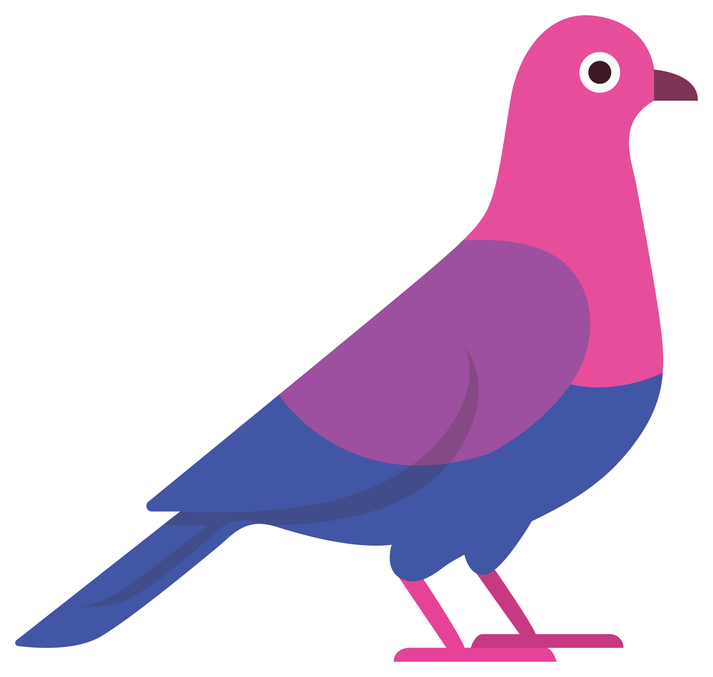 Pigeon Cap  (Choose Option)