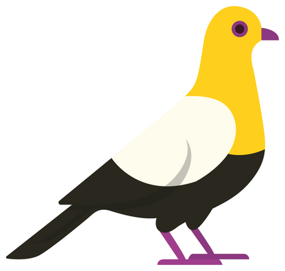 Pigeon Cap  (Choose Option)